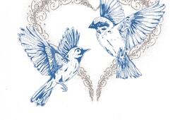 Les oiseaux bleus  contes feeriques_Editions Le Chat rouge_9782491499204.jpg