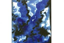 Les ombres de loubli_Atelier du grand tetras_9782375311172.jpg