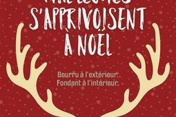 Les ours mals léchés s'apprivoisent à Noël.jpg
