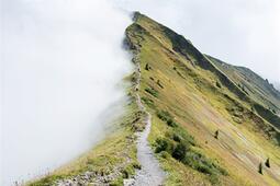 Les rêves d'un Européen au XXIe siècle.jpg