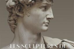 Les sculptures de MichelAnge  le vrai lincerta_Faton_9782878443479.jpg