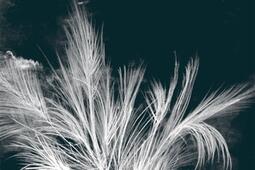 Lettres suspendues.jpg