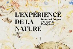 Lexperience de la nature  les arts a Prague a_Lienart editions_Louvre editions_9782359064612.jpg