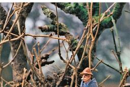 Lhomme des haies_Gallimard_9782070458127.jpg