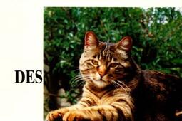 Lhomme et la domestication_ARPPAM_.jpg