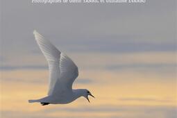 Loiseau des glaces  carnets de bord arctiques_CNRS Editions_9782271155597.jpg