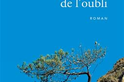 Lorigine de loubli_Stock_9782234097032.jpg