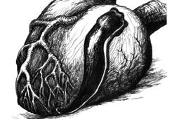 Love poems_Lutanie_9782918685197.jpg