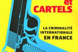 Mafias gangs et cartels  la criminalite interna_Denoel_9782207103302.jpg