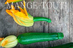 Mange-tout ! : des recettes de légumes à tous les stades de leur vie.jpg