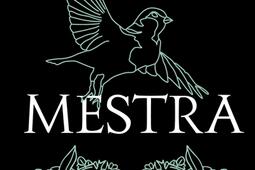 Mestra_Pocket_9782266362870.jpg