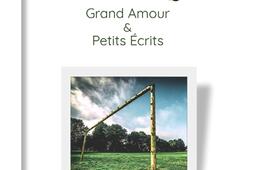 Miettes footballistiques  grand amour  petits ecrits_Les editions du Volcan.jpg