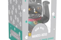 Mini lucky cat noir  coffret_Hachette Pratique_9782017292517.jpg