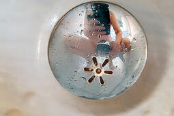 Miroir, oh mon miroir !.jpg