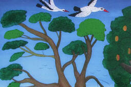 Moi, Inoussa : écogarde au Bénin.jpg