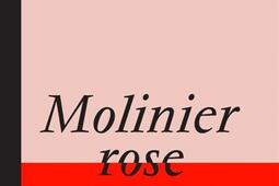 Molinier : rose saumon.jpg