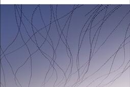 Murmuration_Albin Michel_9782226507129.jpg