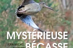 Mystérieuse bécasse : elle passe et séduit.jpg