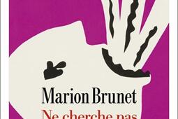 Ne cherche pas le chaos_Albin Michel_9782226471017.jpg