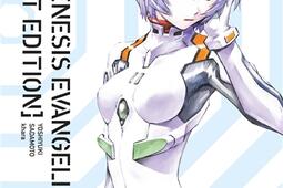 Neon-Genesis Evangelion : perfect edition. Vol. 2. Le couteau et l'adolescent.jpg