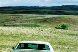 Ni loup ni chien.jpg