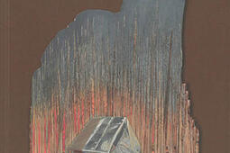 Nos mondes sauvages n 1_Invenit_Coleres du present_9782376800651.jpg