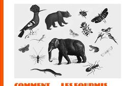 Nos plus grands medecins  comment les fourmis l_Les Liens qui liberent_9791020922489.jpg