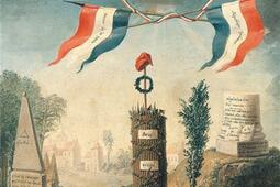 Nouvelle histoire de la Revolution francaise_Perrin_9782262081522.jpg