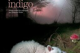 Nuit indigo_Actes Sud_9782330212872.jpg