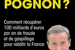 Où va le pognon ? : comment récupérer 100 milliards d'euros par an de fraude et de gaspillage pour rebâtir la France.jpg