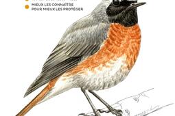 Oiseaux : l'essentiel pour s'initier à l'ornithologie, 150 espèces illustrées, mieux les connaître pour mieux les protéger.jpg