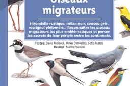 Oiseaux migrateurs  hirondelle rustique milan  n_La Salamandre_9782889586080.jpg