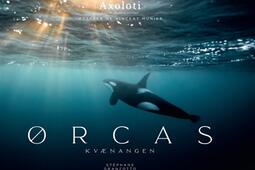 Orcas.jpg