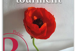 Paisible tourment_Editions Marie Romaine_9782494738300.jpg