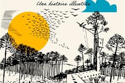 Palombes : une histoire illustrée.jpg