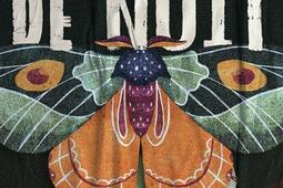 Papillons de nuit.jpg