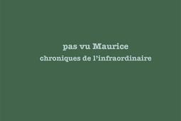 Pas vu Maurice : chroniques de l'infraordinaire.jpg