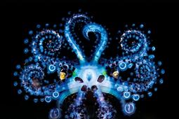 Passion ocean_Grasset_9782246832133.jpg
