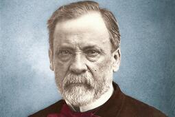 Pasteur.jpg