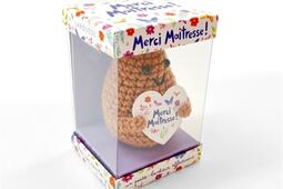 Patate  Merci maitresse_Larousse_9782036087859.jpg