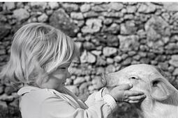 Paulina et moi : l'histoire d'un cochon porte-bonheur qui a frôlé un grand malheur.jpg