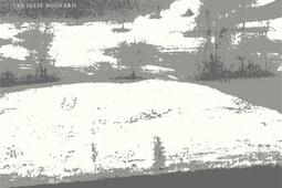 Paysage fugitif_Les Cahiers dessines_9782493188328.jpg