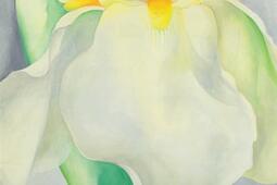 Peindre au corps à corps : les fleurs et Georgia O’Keeffe.jpg