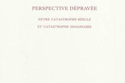 Perspective depravee  entre catastrophe reelle et catastrophe imaginaire_Ed du Sandre.jpg