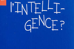 Peuton mesurer lintelligence _le Pommier_9782746508651.jpg