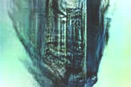 Pierre Huyghe  liminal  Pinault Collection_Dilecta_Marsilio Editori_9782373722055.jpg