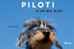 Piloti a un oeil bleu.jpg