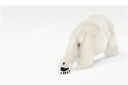 Pister les creatures fabuleuses_Bayard_9782227503199.jpg