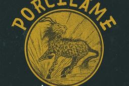 Porcelame. Vol. 1. La voie du Kirin.jpg