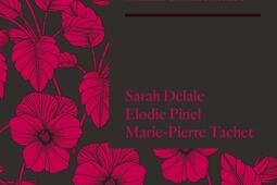 Pour en finir avec la passion : l'abus en littérature.jpg